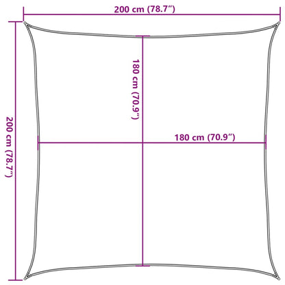 311492 vidaXL Sunshade Sail 160 g/m² Blue 2x2 m HDPE