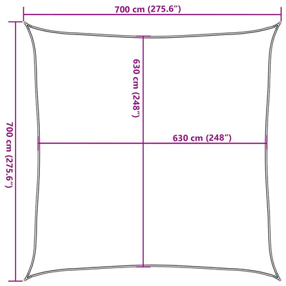 Sunshade Sail 160 g/m² Square Blue 7x7 m HDPE