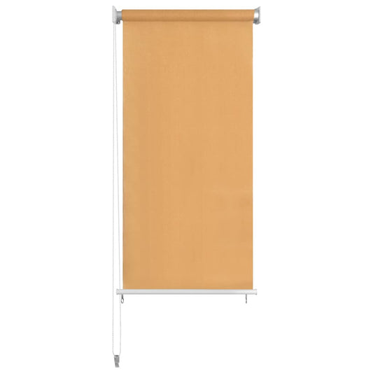 312588 vidaXL Outdoor Roller Blind 60x230 cm Beige