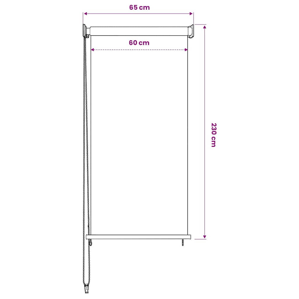 Outdoor Roller Blind 65(W)x230(H) cm Beige