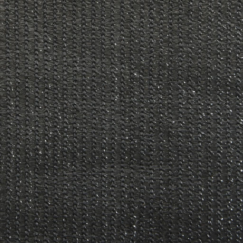 Outdoor Roller Blind 80x140 cm Anthracite