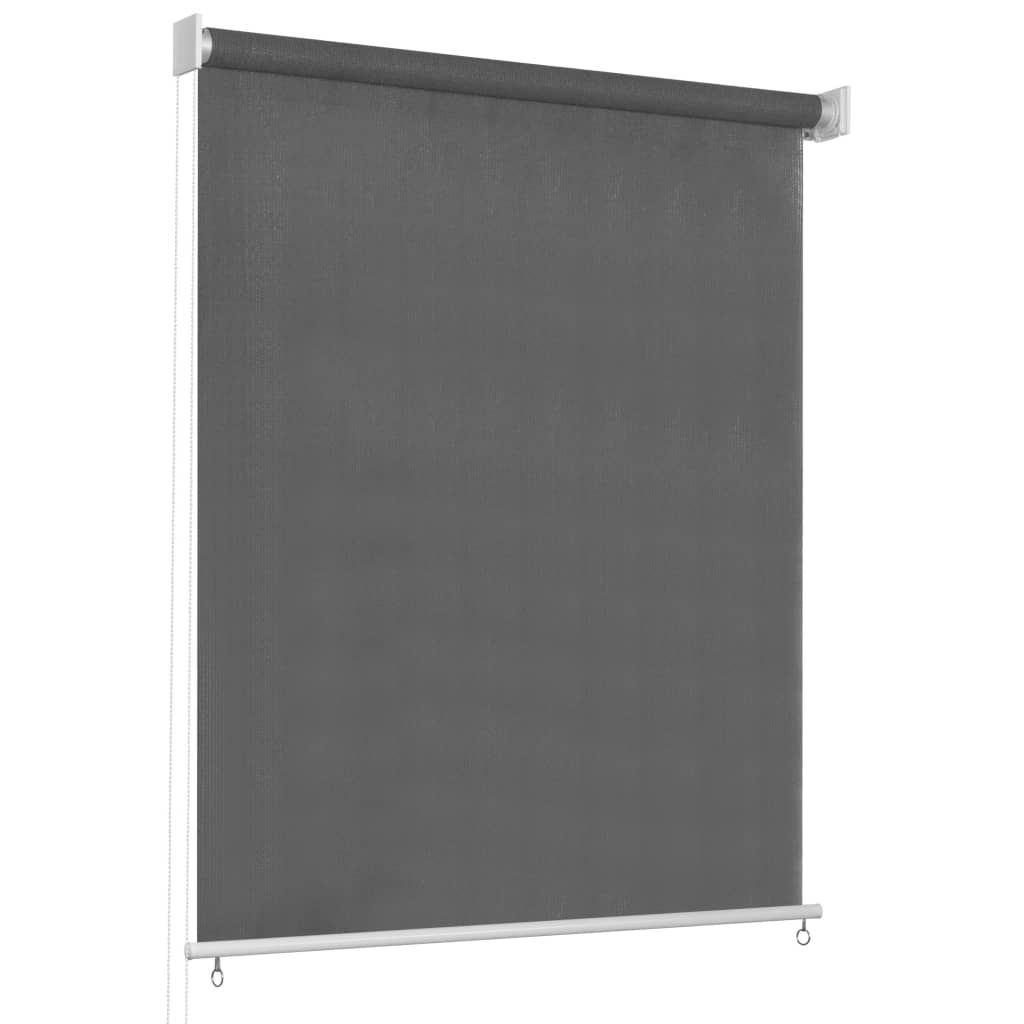Outdoor Roller Blind 60x230 cm Anthracite