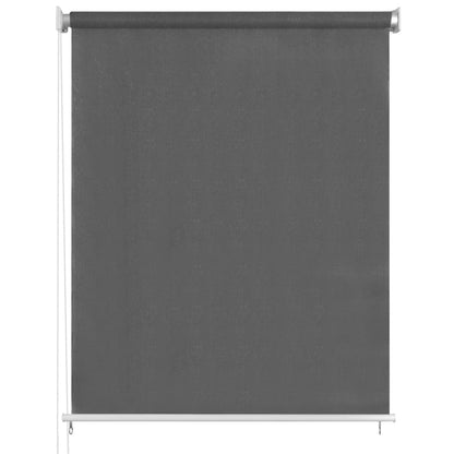 Outdoor Roller Blind 60x230 cm Anthracite