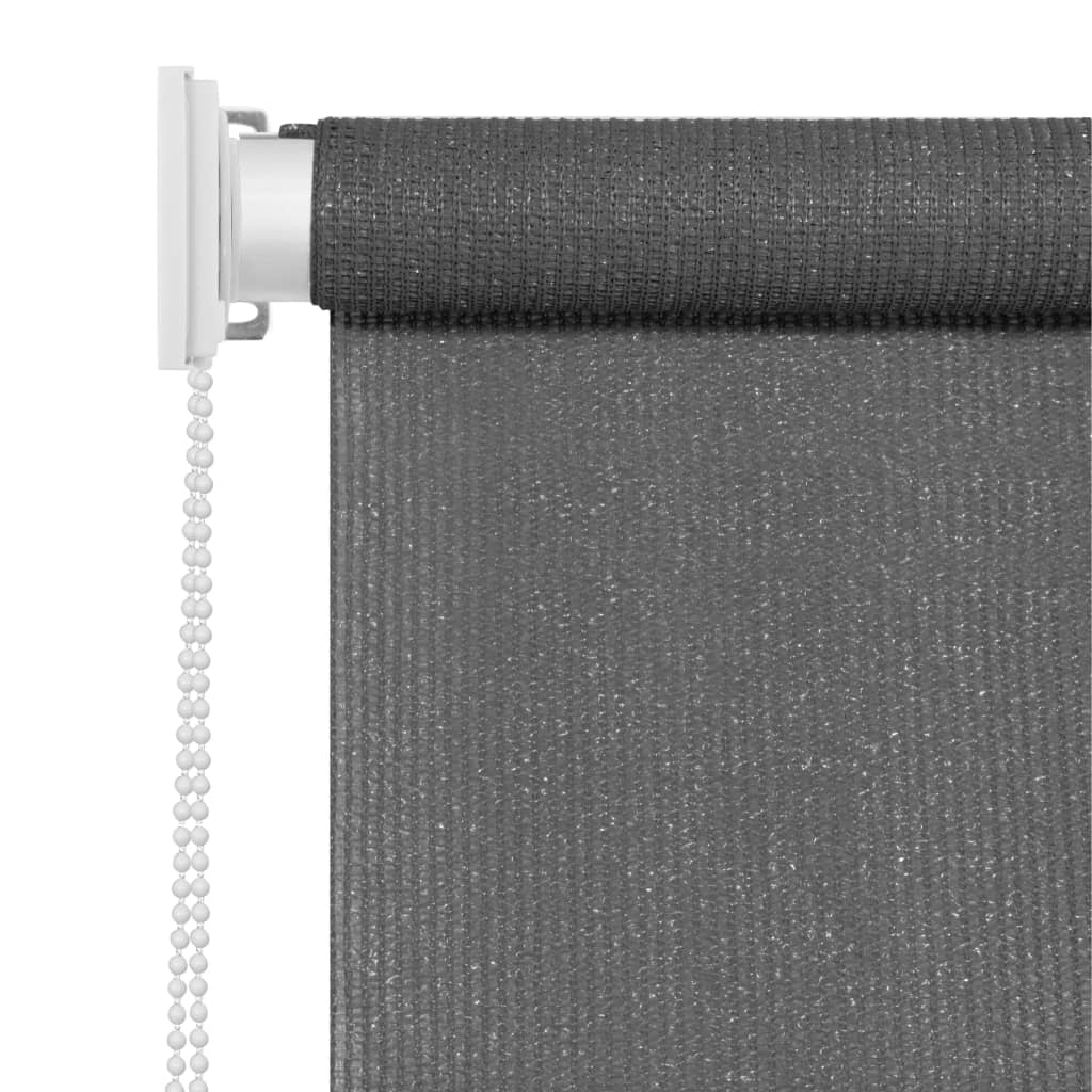 Outdoor Roller Blind 60x230 cm Anthracite