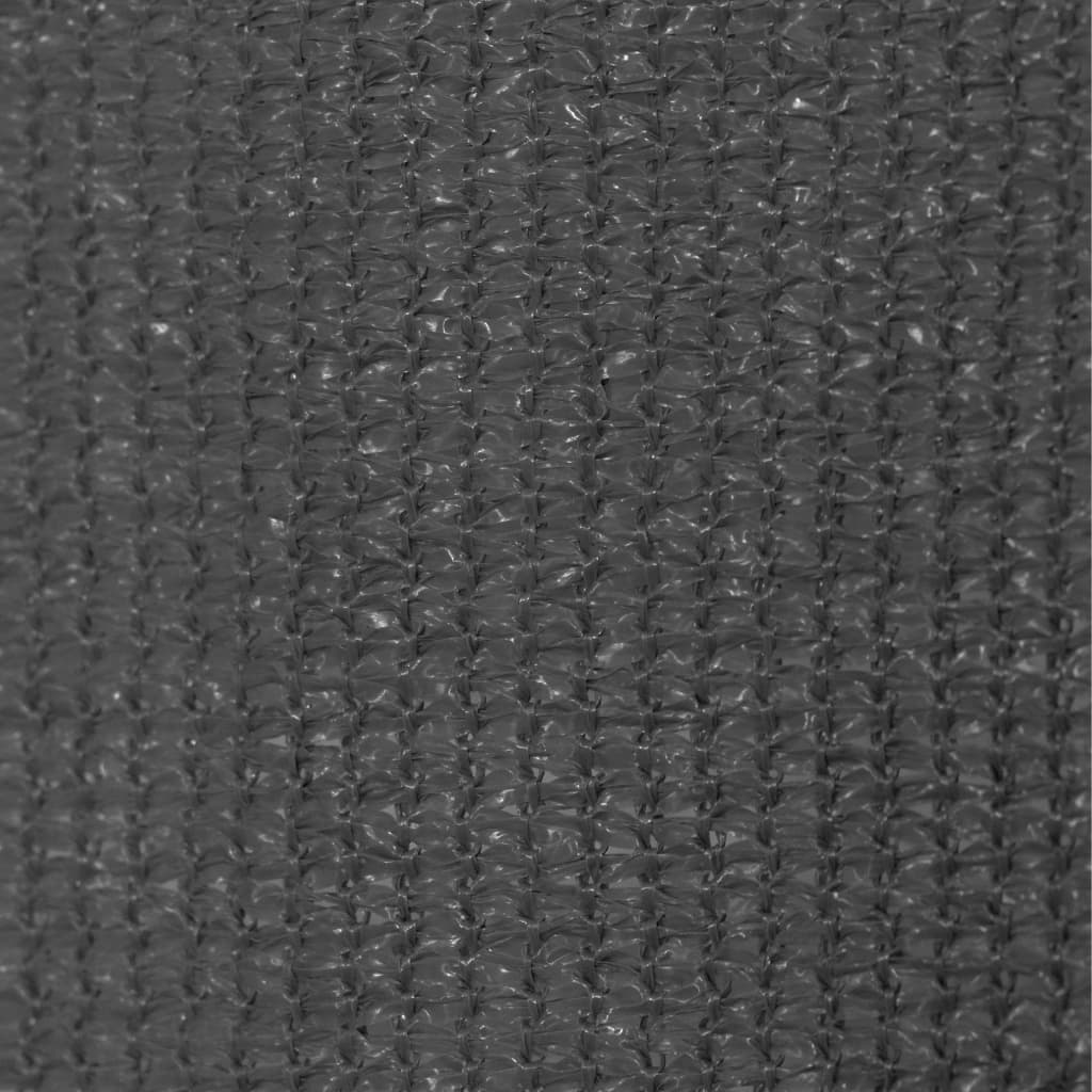 Outdoor Roller Blind 60x230 cm Anthracite