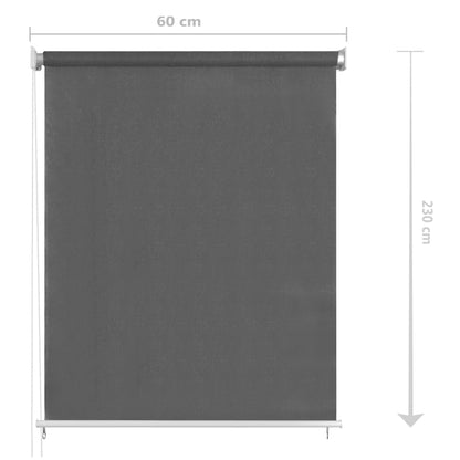 Outdoor Roller Blind 60x230 cm Anthracite
