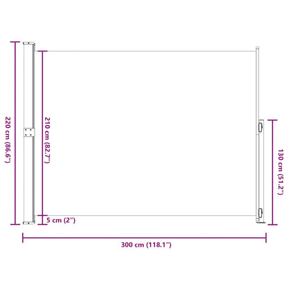 Patio Retractable Side Awning 220x300 cm Black