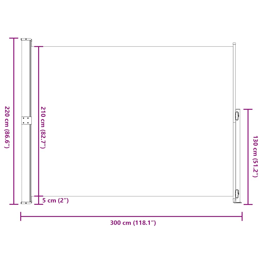 Patio Retractable Side Awning 220x300 cm Black