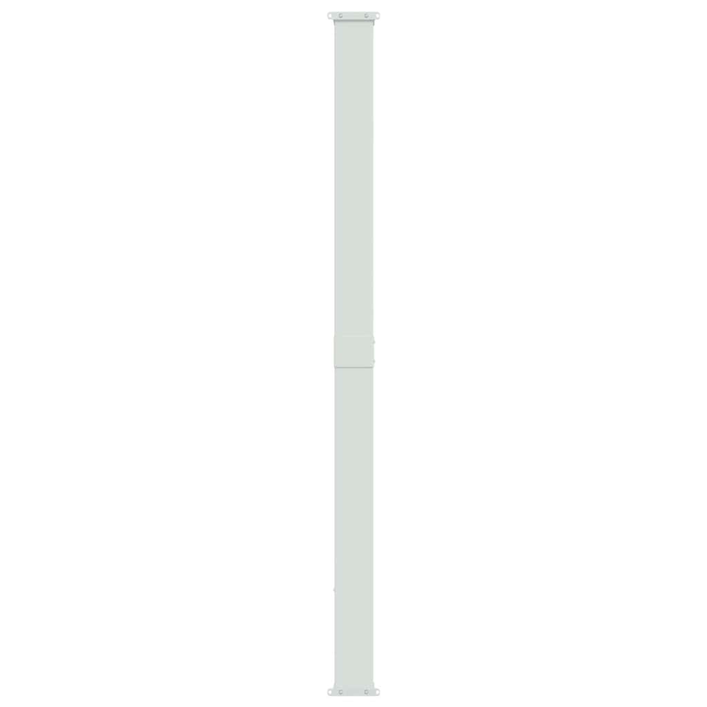 Patio Retractable Side Awning 220x300 cm Grey