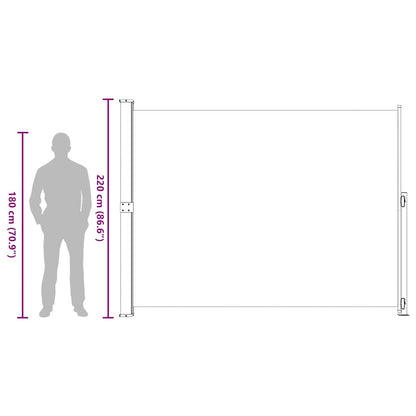 Patio Retractable Side Awning 220x300 cm Grey