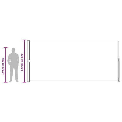 Patio Retractable Side Awning 220x500 cm Black