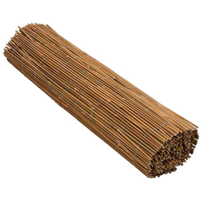 Bamboo Fence 500x100 cm