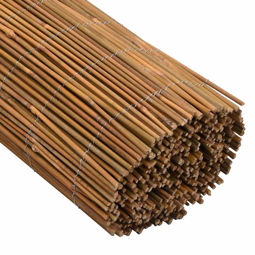 Bamboo Fence 500x100 cm