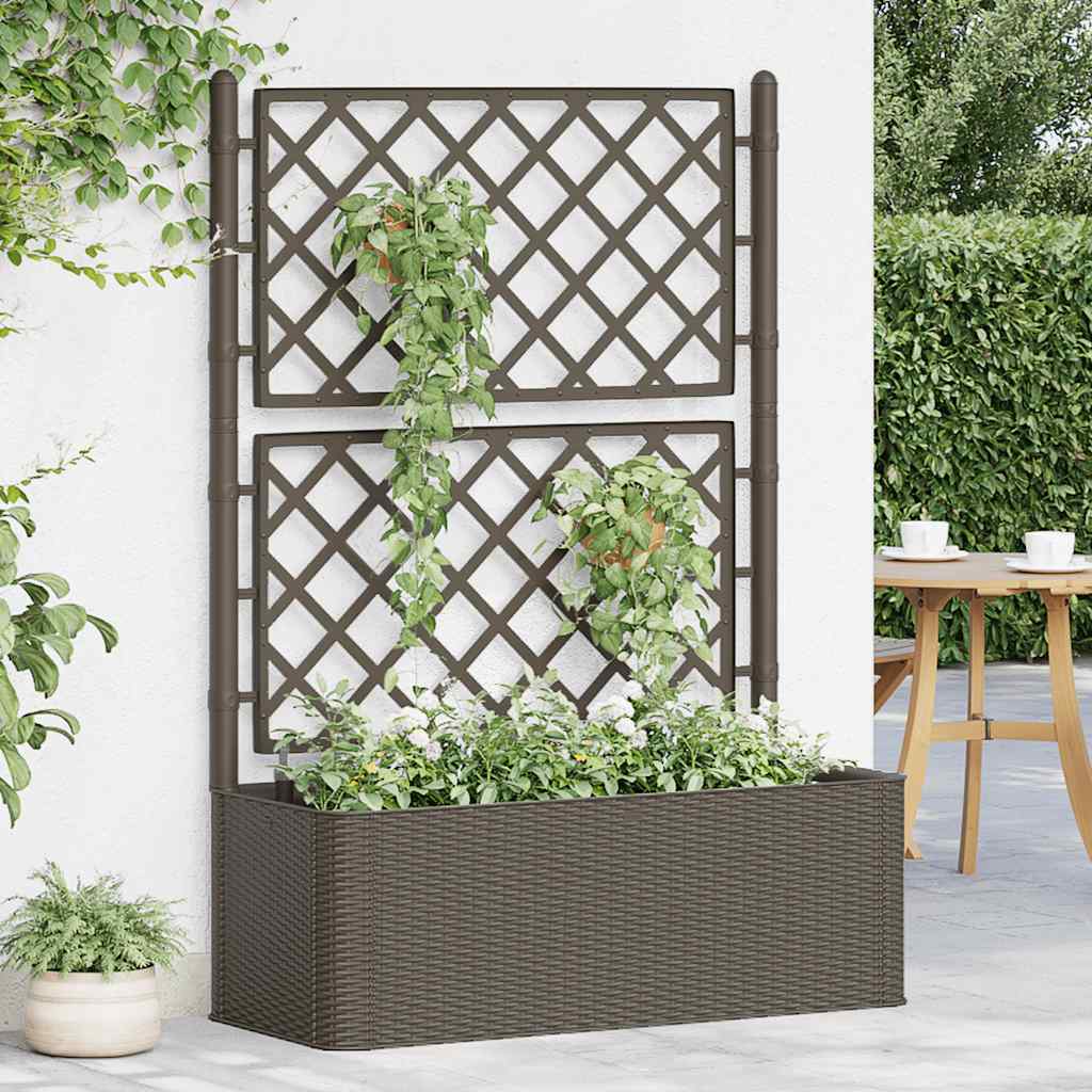 Garden Raised Bed with Trellis and Self Watering System Mocha