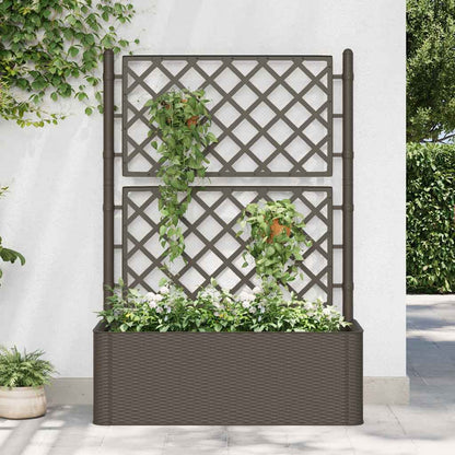 Garden Raised Bed with Trellis and Self Watering System Mocha