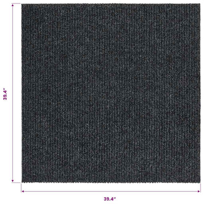 Dirt Trapper Carpet Runner 100x100 cm Anthracite