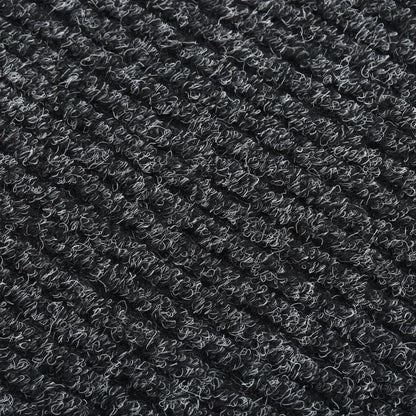 Dirt Trapper Carpet Runner 100x300 cm Anthracite