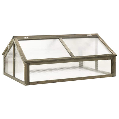 Greenhouse | Grey | Solid fir wood and transparent panels | Medium