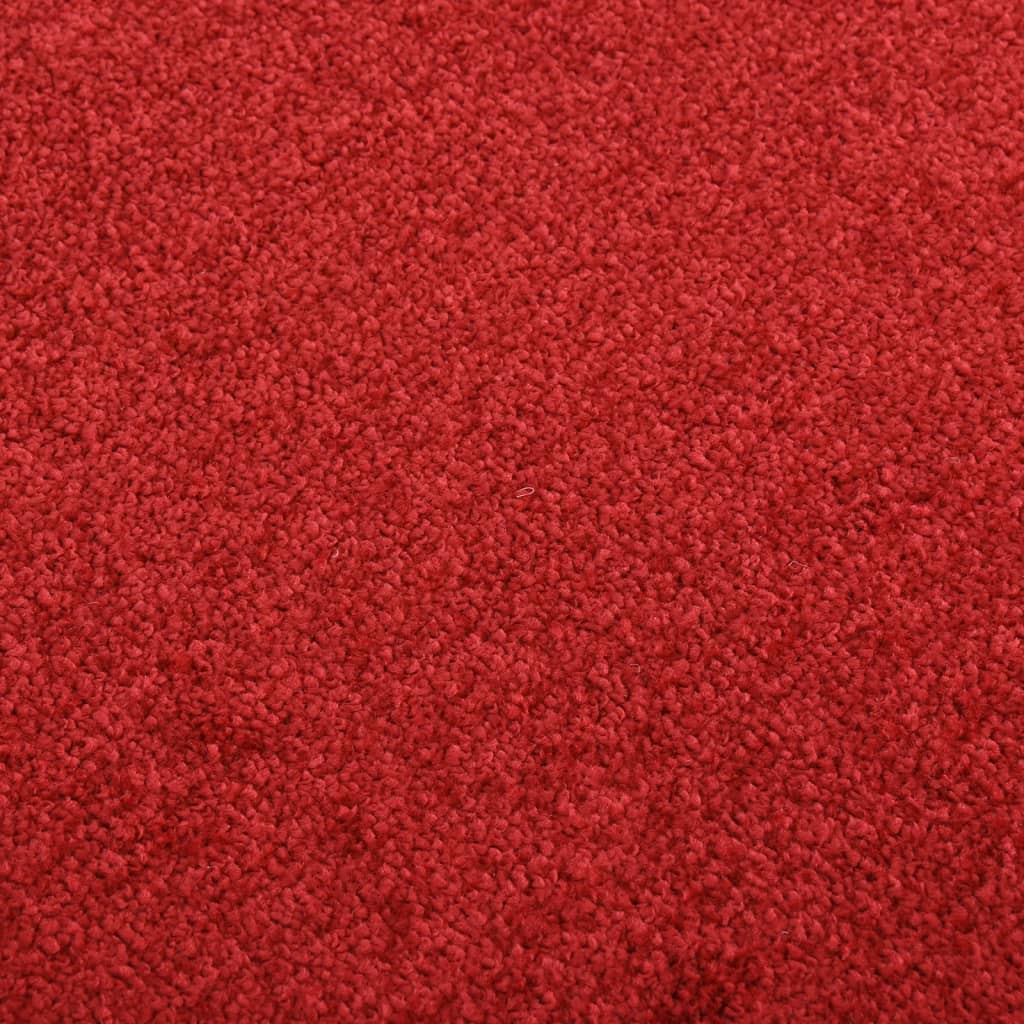 Doormat  Red 60x80 cm