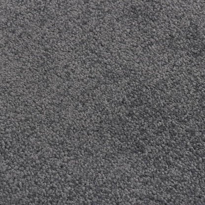 Doormat  Anthracite 40x60 cm