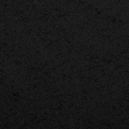 Doormat  Black 40x60 cm