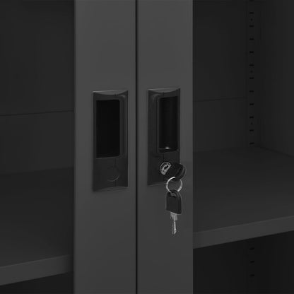 Office Cabinet | Anthracite | Steel, tempered glass | Large