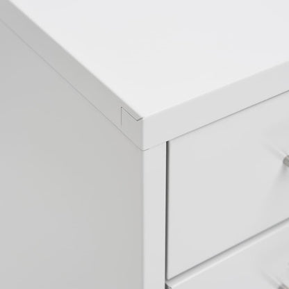 Mobile File Cabinet | Grey | Metal | 28x41x109 cm | Rollable