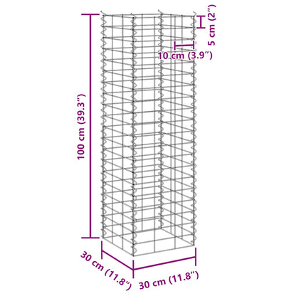 Gabion Raised Beds 3 pcs 30x30x100 cm Iron