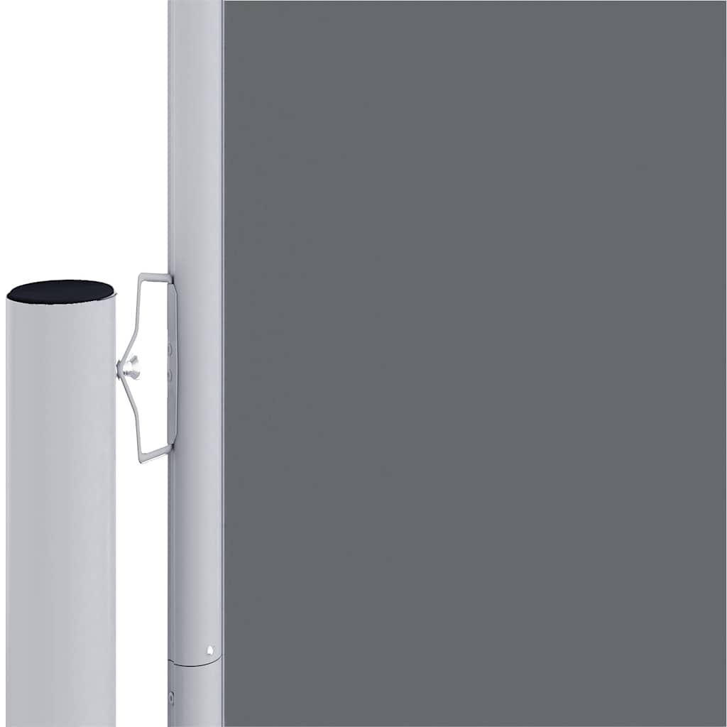 318044 vidaXL Retractable Side Awning Anthracite 200x1000 cm