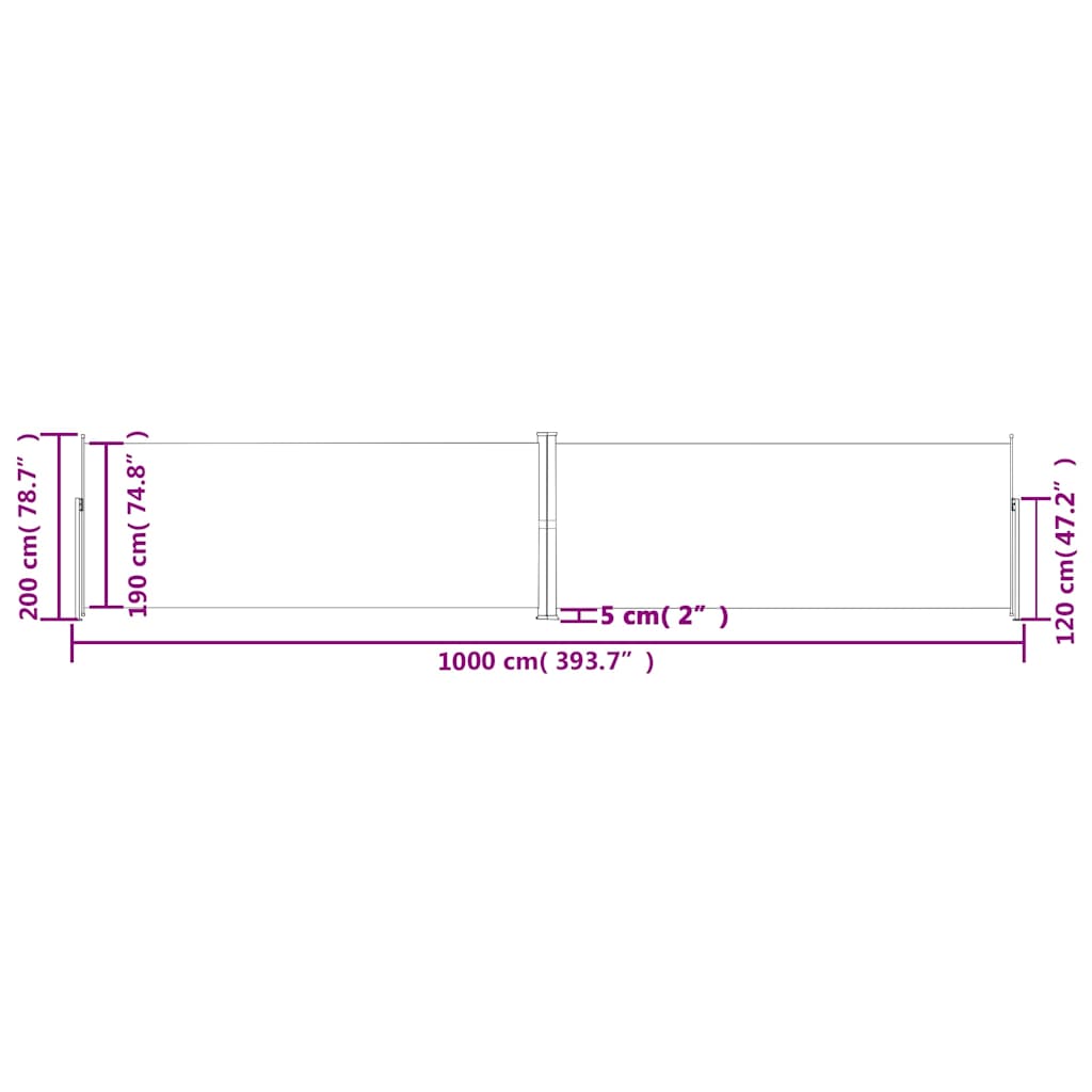 318044 vidaXL Retractable Side Awning Anthracite 200x1000 cm