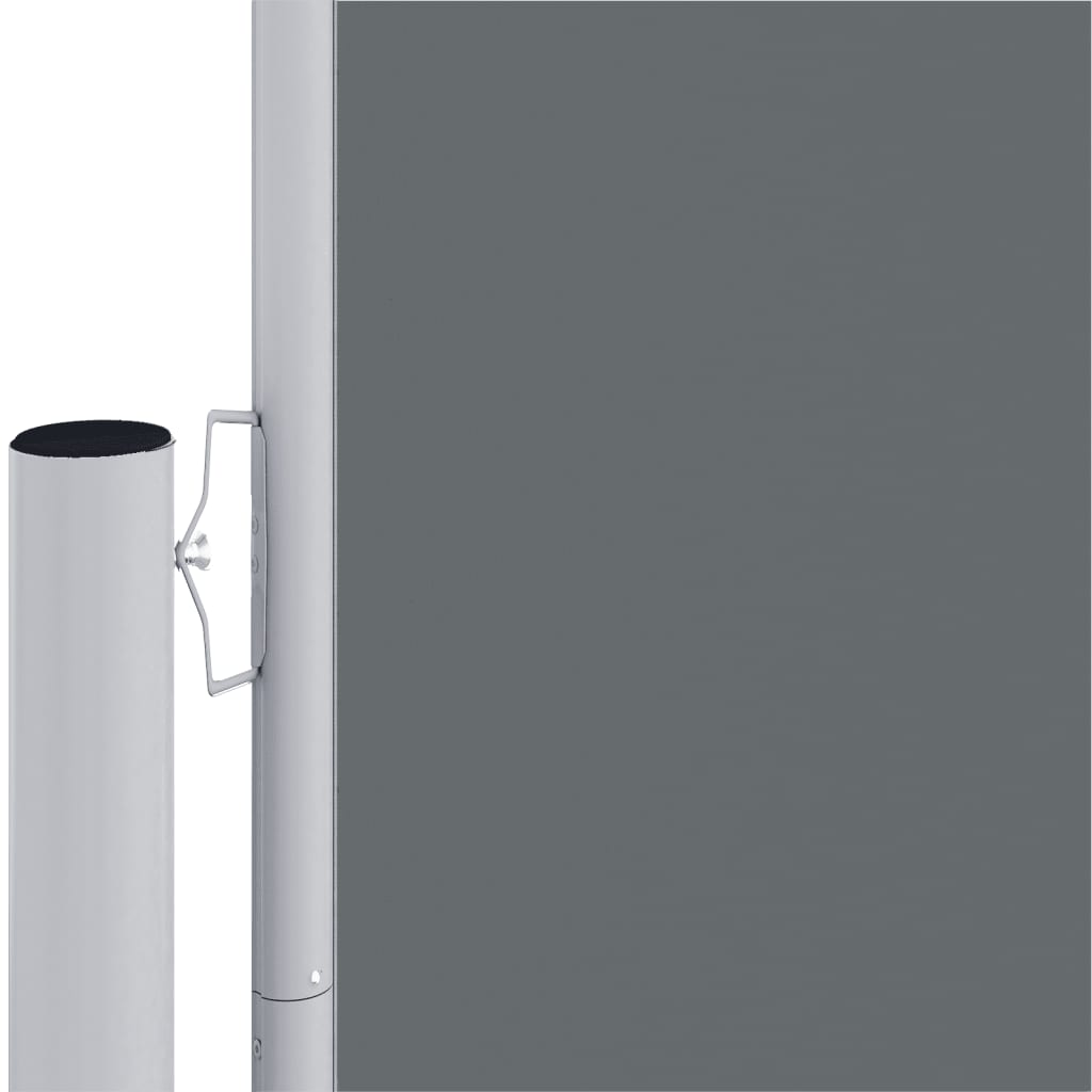 Retractable Side Awning Anthracite 220x1000 cm