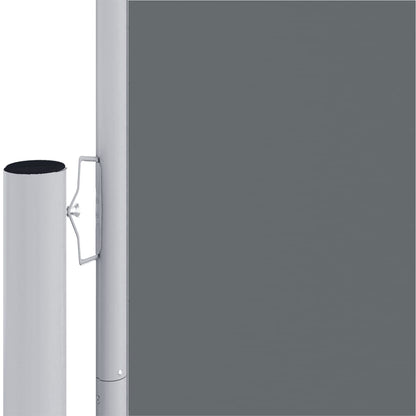Retractable Side Awning Anthracite 220x1000 cm