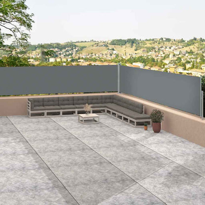 Retractable Side Awning Anthracite 117x1200 cm