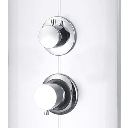 151421 vidaXL Shower Panel Unit 25x43x110 cm Silver