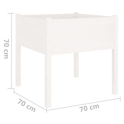 Garden Planters 2 pcs White 70x70x70 cm Solid Pinewood