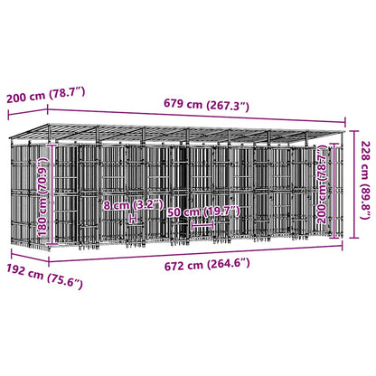 Outdoor Dog Kennel with Roof Steel 12.9 m²