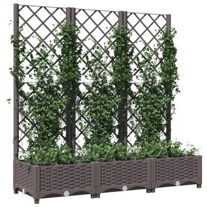 Garden Planter | Brown | Polypropylene | Large | Rectangular | Minimalist