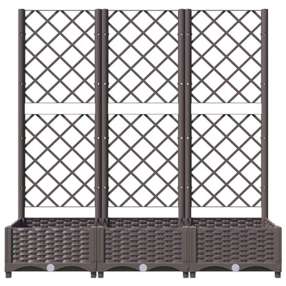 Garden Planter | Brown | Polypropylene | Large | Rectangular | Minimalist
