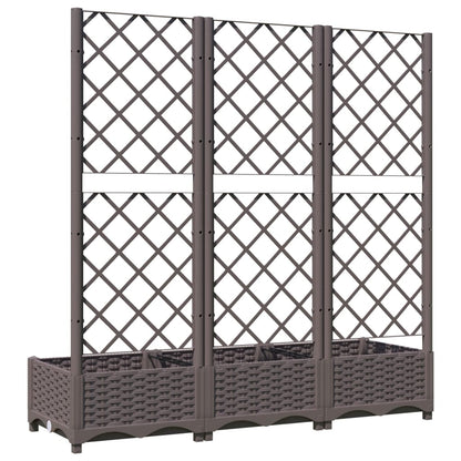 Garden Planter | Brown | Polypropylene | Large | Rectangular | Minimalist