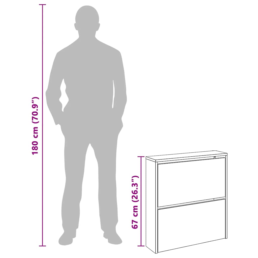 Shoe Cabinet with Mirror 2-Layer High Gloss White 63x17x67 cm