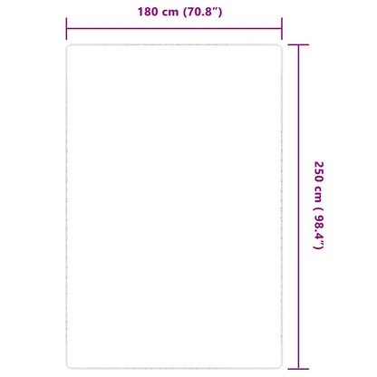 Area Rug Jute with Latex Backing 180x250 cm