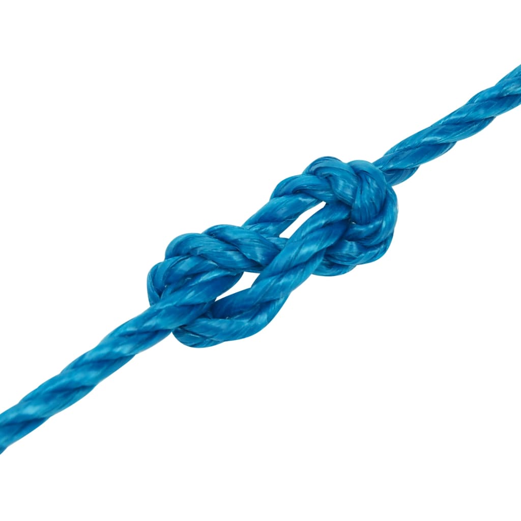 Work Rope Blue 3 mm 50 m Polypropylene