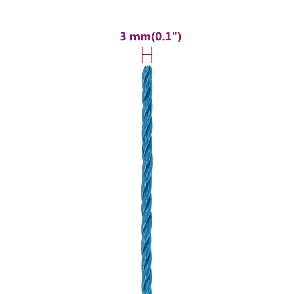 Work Rope Blue 3 mm 250 m Polypropylene