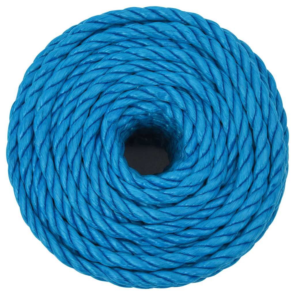 Work Rope Blue 10 mm 50 m Polypropylene