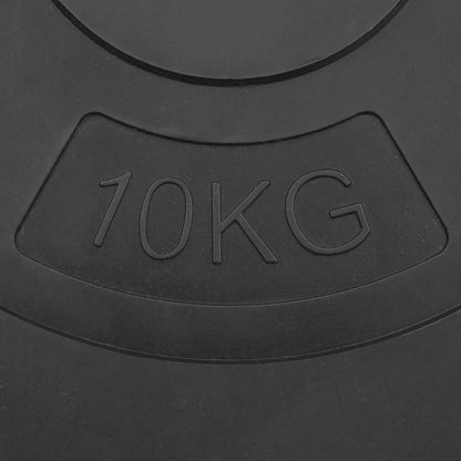 Weight Plates 4 pcs 30 kg Cement