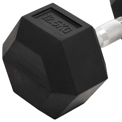 Dumbbells 2 pcs 25 kg Total Cast Iron