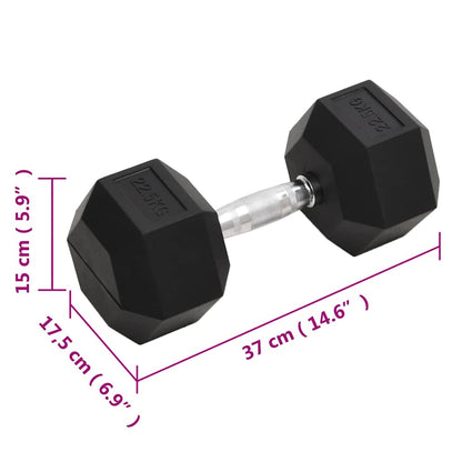 Dumbbell 22,5 kg Cast Iron