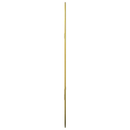 Wall Mirror Gold 50x35 cm