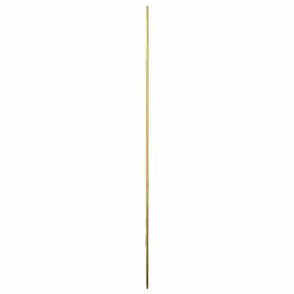 Wall Mirror Gold 70x45 cm