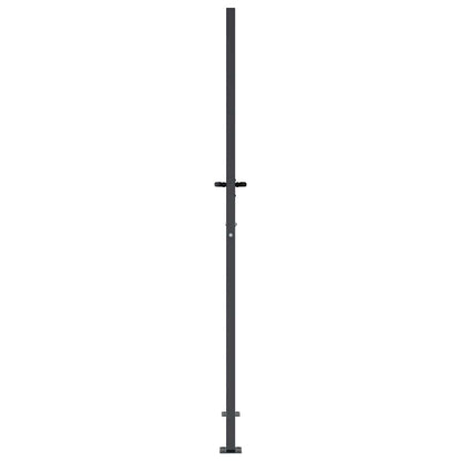 Garden Gate Anthracite 100x200 cm Steel Grass Design